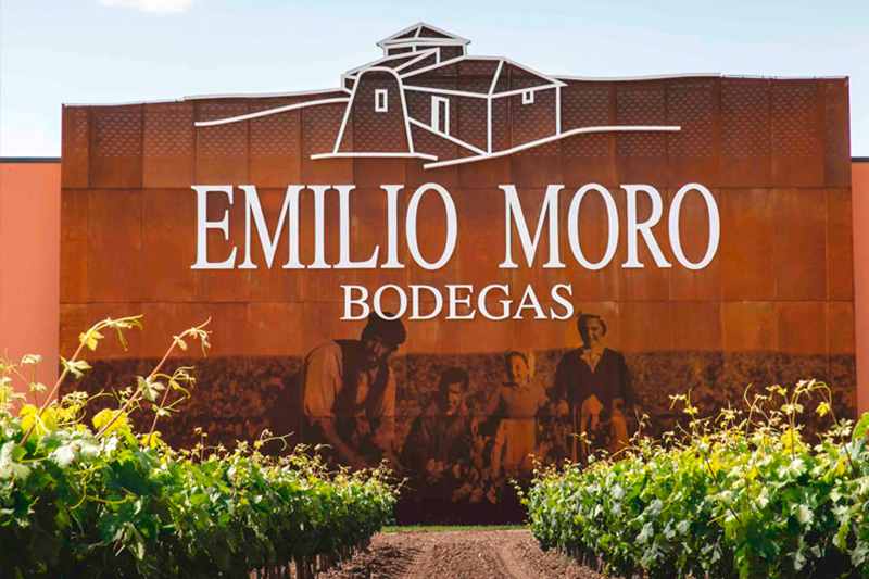 Bodegas Emilio Moro - Excelencia