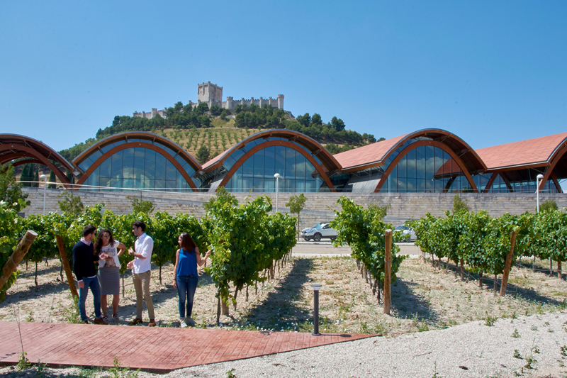 Bodegas Protos - Tradición e Historia