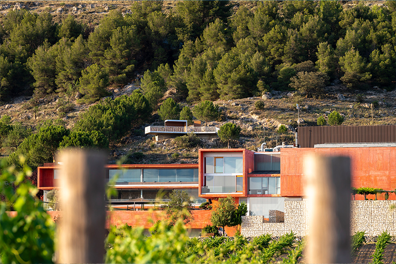 Bodegas Pago de Carraovejas - Paisaje y Diversidad